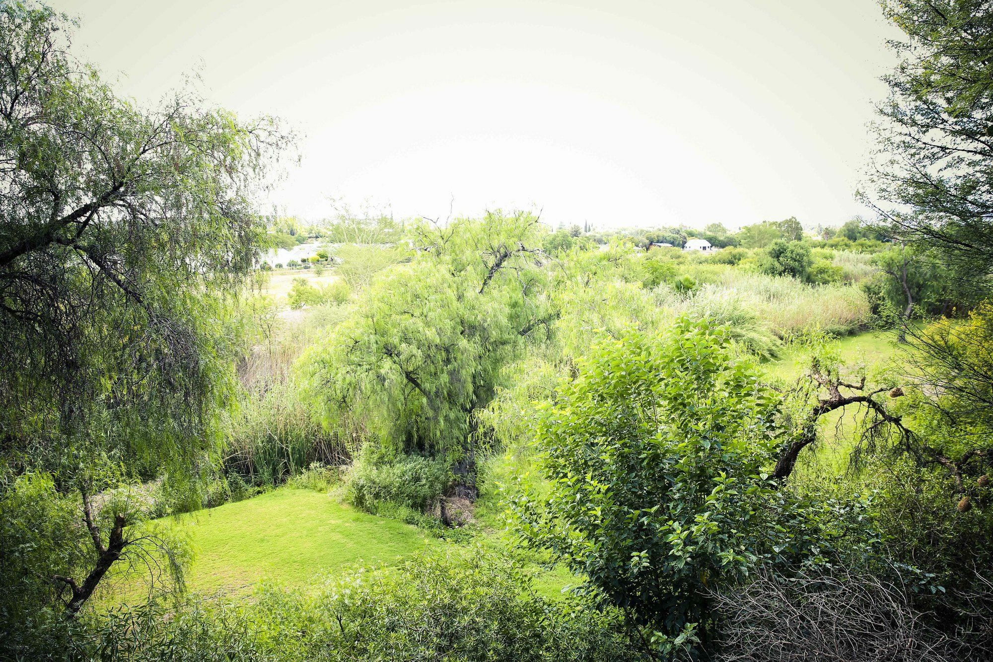 Riverside Hospedaje Oudtshoorn Exterior foto